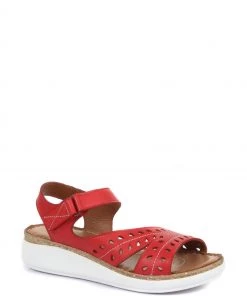 Pavers Sales Shop -Pavers Sales Shop unnamed file 2982 scaled